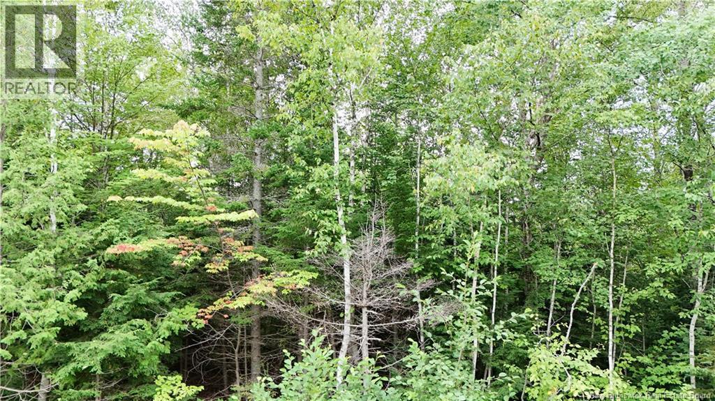 Bathory, Lower Greenwich, New Brunswick, E5K4H2, Lower Greenwich, New Brunswick — photo 5 of 5