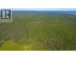 243 Maces Bay Road, Maces Bay, NB E5J1S8 Photo 49