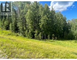 #43 River Ridge Estates, Rural Yellowhead County, AB T7E3A6 Photo 10