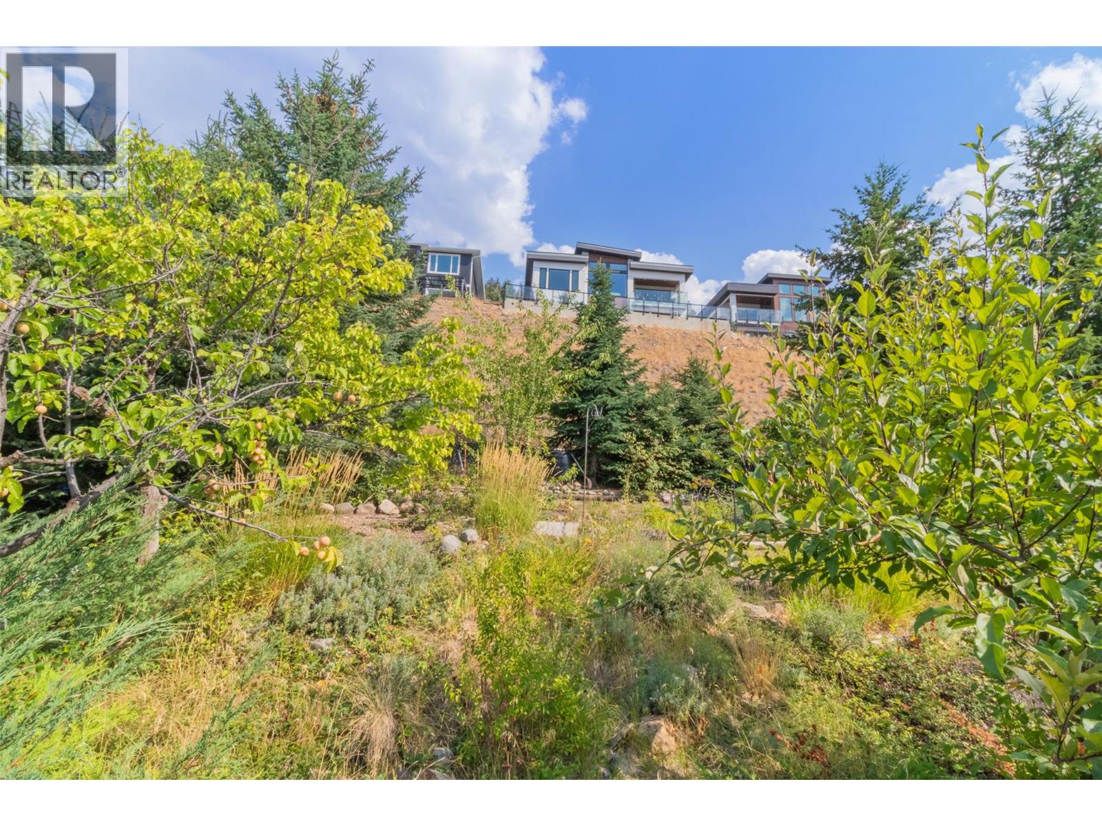 843 Lone Pine Drive - Image 45