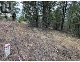 Lot 51 Cooper Road, Windermere, BC V0A1K4 Photo 8