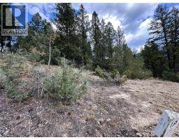 Lot 51 Cooper Road, Windermere, BC V0A1K4 Photo 9