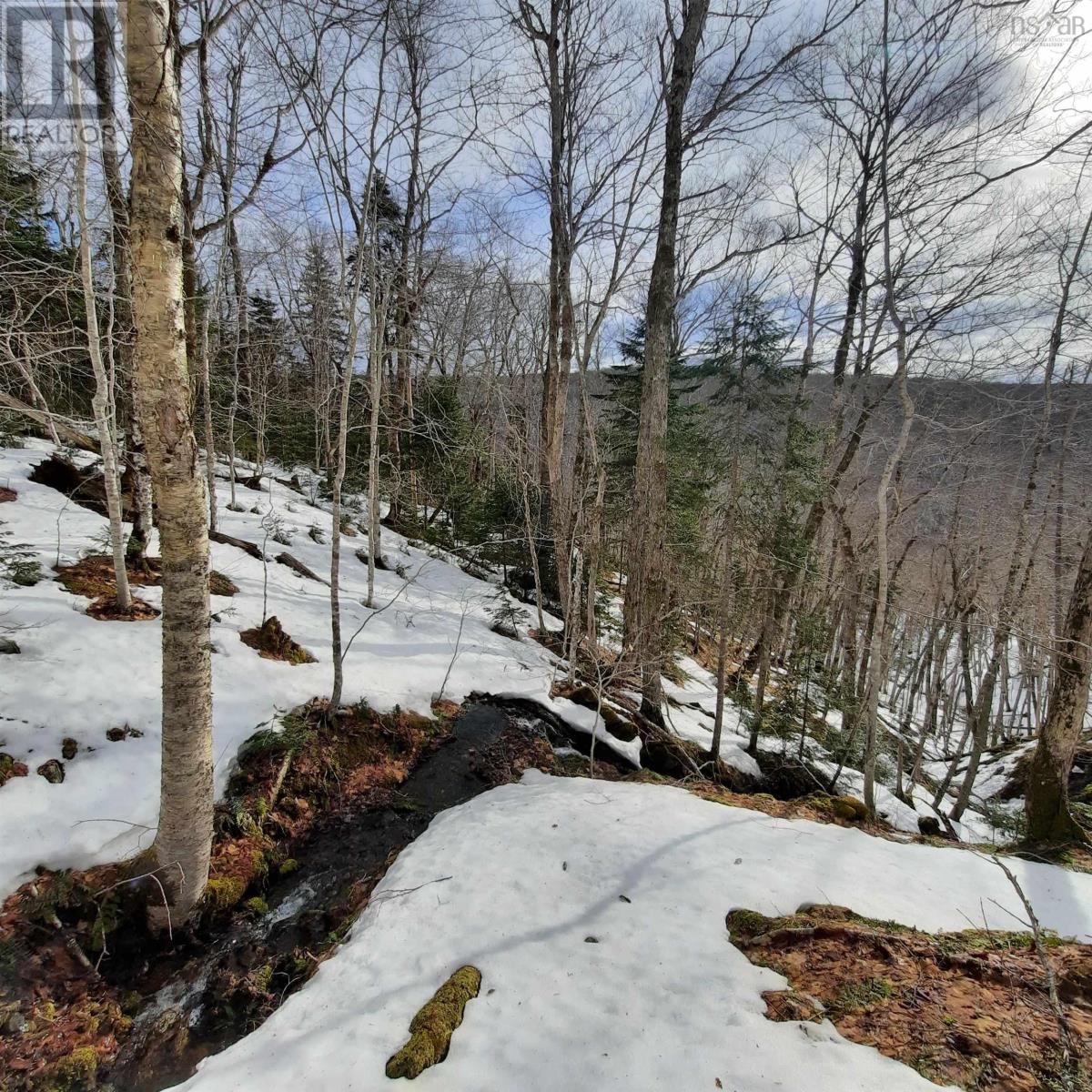 Property 32 of 36 of 594 Whycocomagh Mountain Rd