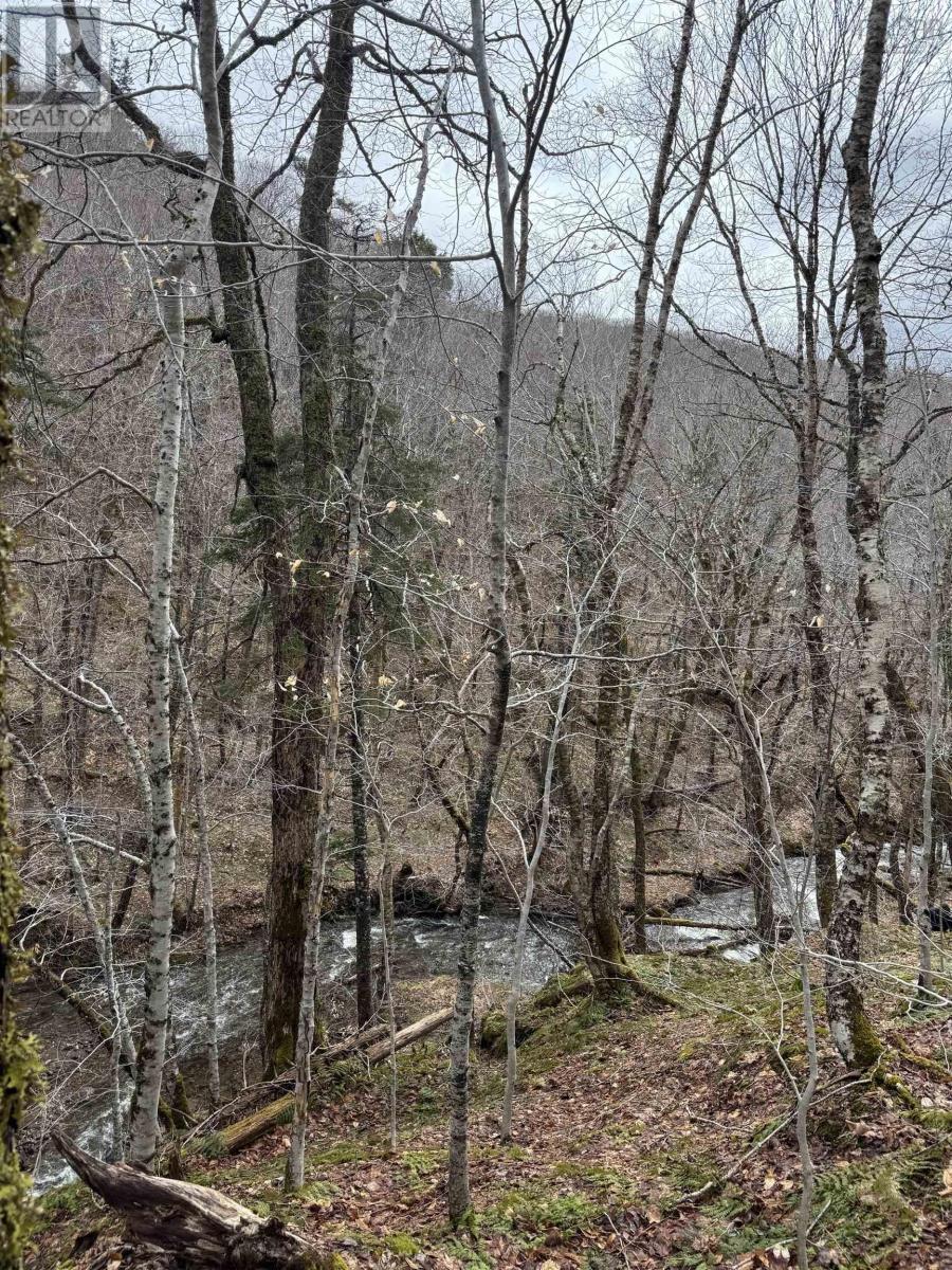 Property 36 of 36 of 594 Whycocomagh Mountain Rd