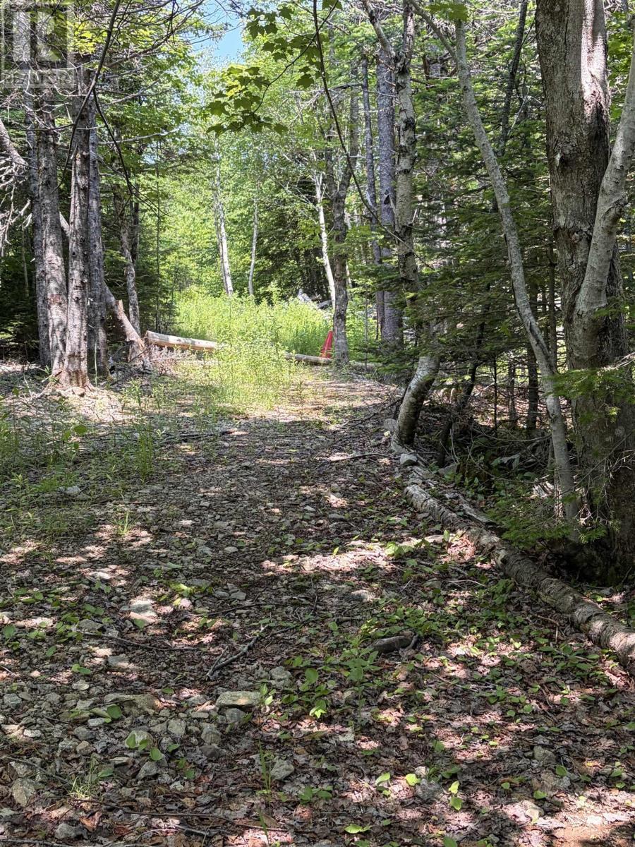 Property 8 of 36 of 594 Whycocomagh Mountain Rd