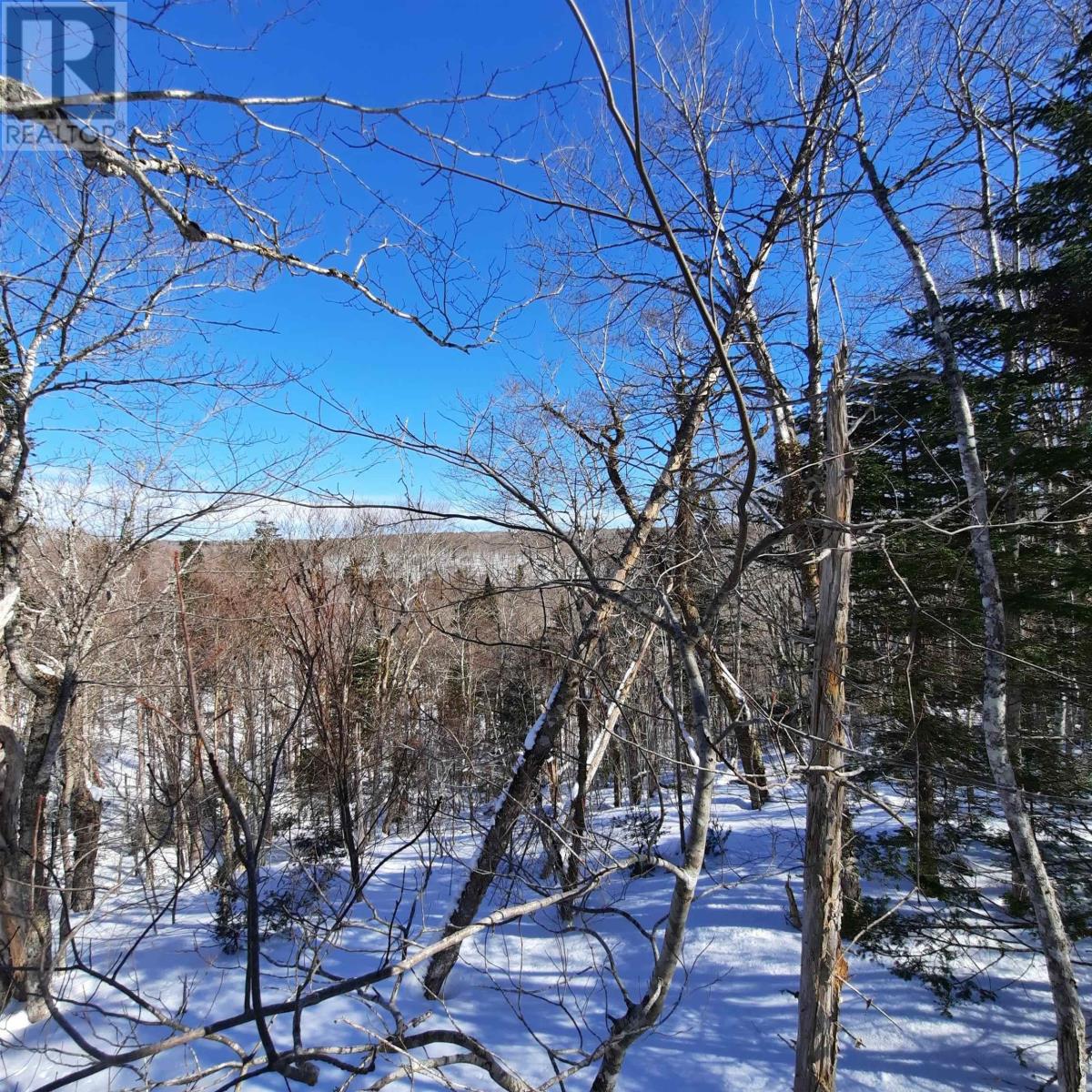 Property 33 of 36 of 594 Whycocomagh Mountain Rd