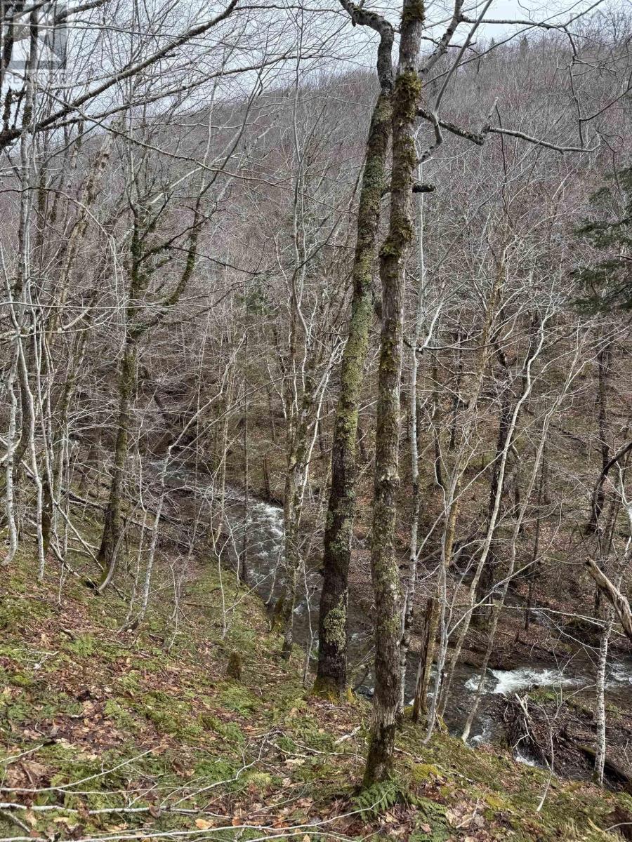 Property 35 of 36 of 594 Whycocomagh Mountain Rd