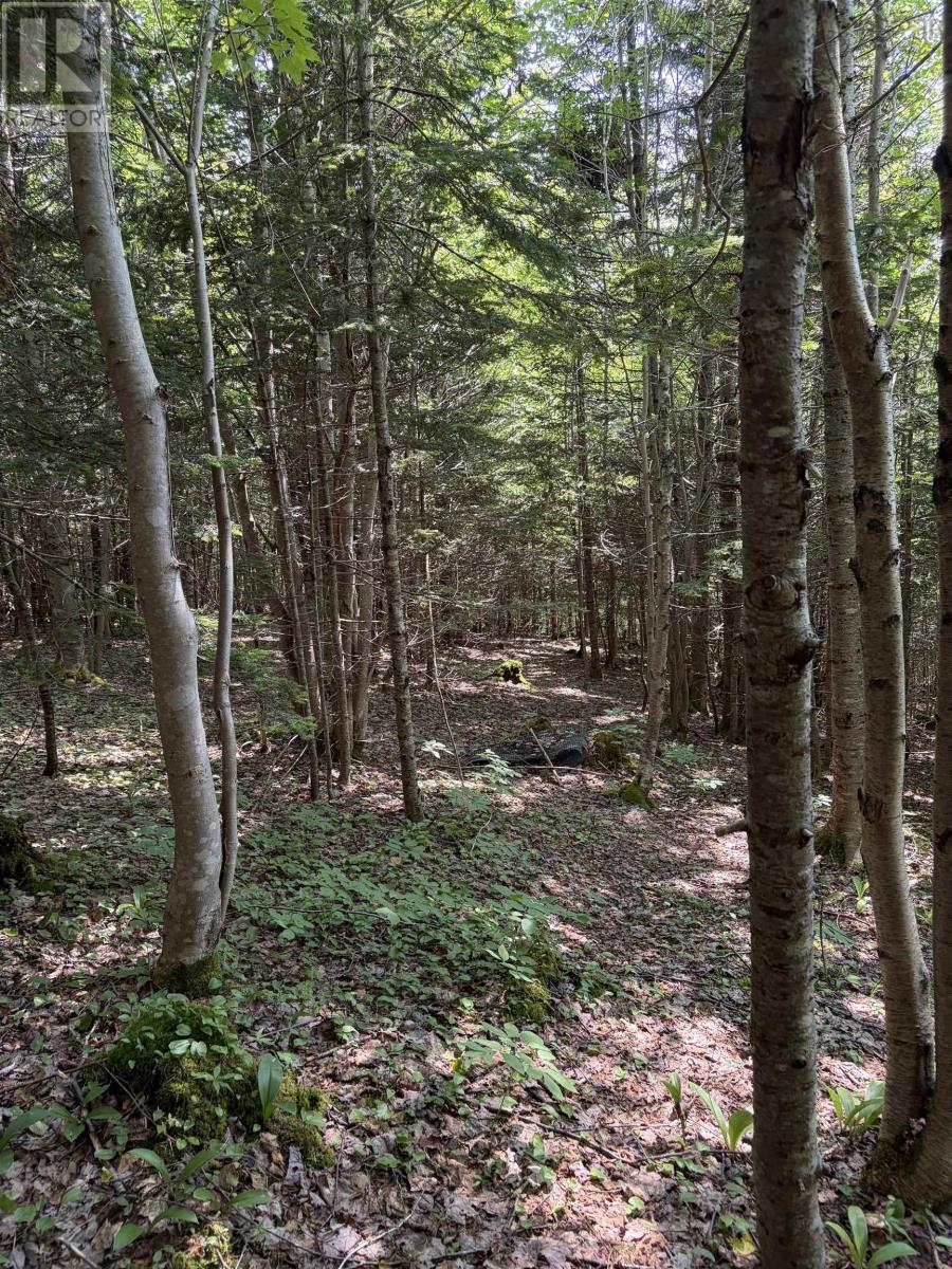 Property 7 of 36 of 594 Whycocomagh Mountain Rd