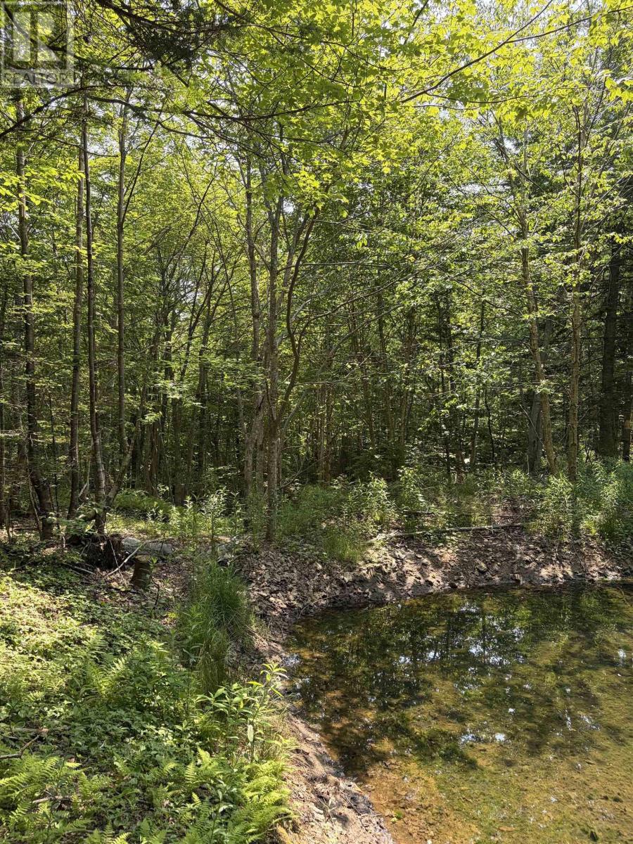 Property 22 of 30 of 594 Whycocomagh Mountain Rd