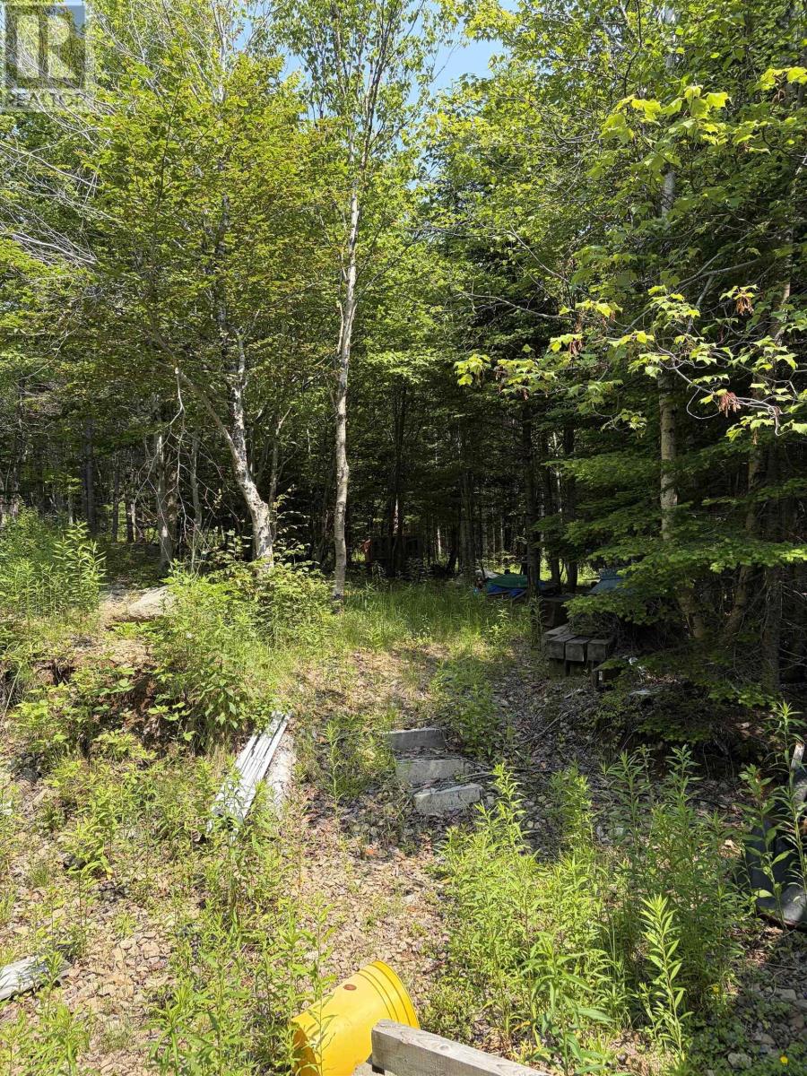 Property 20 of 30 of 594 Whycocomagh Mountain Rd