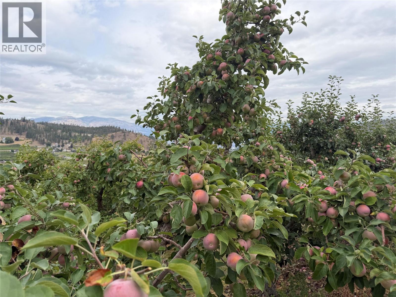 9827 Gillard Avenue, Summerland