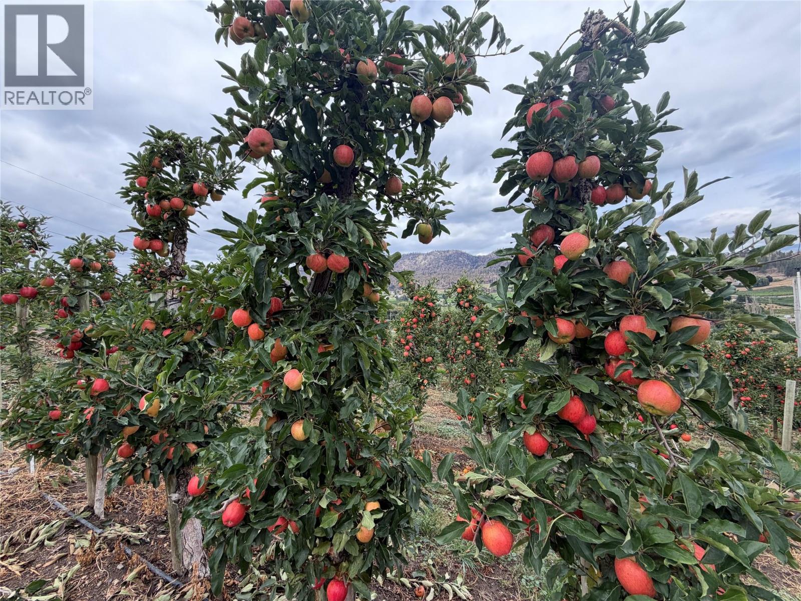 9827 Gillard Avenue, Summerland