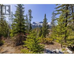 389 Eagle Heights, Canmore, AB T1W3C9 Photo 46