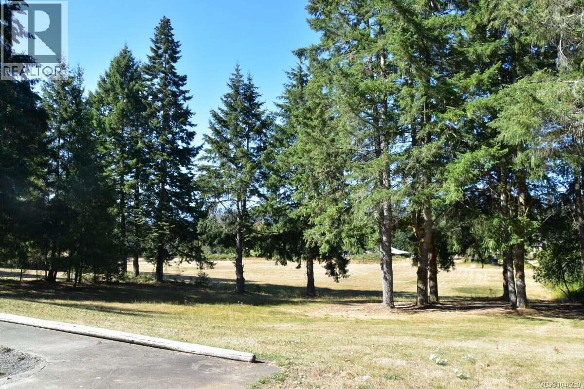 4065 Gibbins Rd - 50