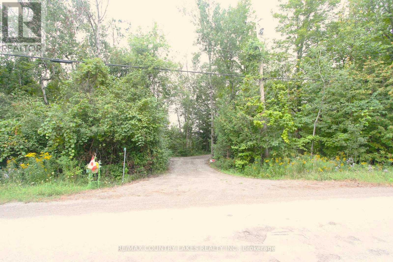 129 MCGUIRE BEACH ROAD - 31