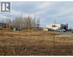 2412 20th Street, Didsbury, AB T0M0A2 Photo 10