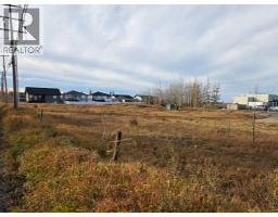 2412 20th Street, Didsbury, AB T0M0A2 Photo 8