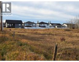2412 20th Street, Didsbury, AB T0M0A2 Photo 9