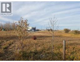 2412 20th Street, Didsbury, AB T0M0A2 Photo 7