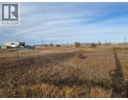 2412 20th Street, Didsbury, AB T0M0A2 Photo 11