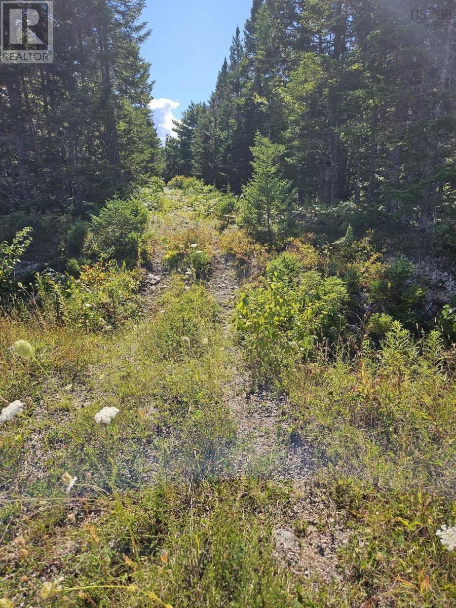 Property 8 of 21 of Cogswell Road