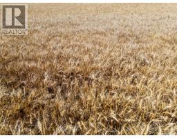 S 1/2 36-13-16 W2 - Sedley, Lajord Rm No  128, SK S0G0J8 Photo 8