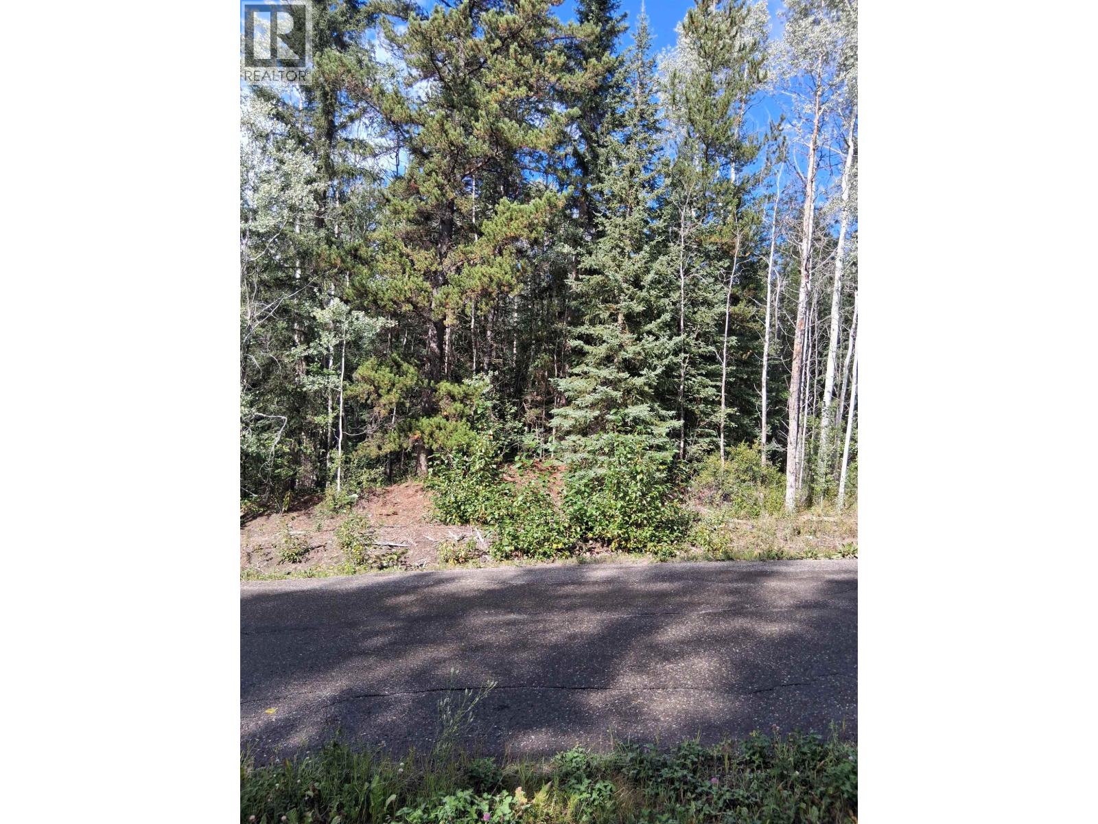 23336 HOWELLS Road, Topley, British Columbia, V0J2N0, Topley, British Columbia — photo 2 of 5