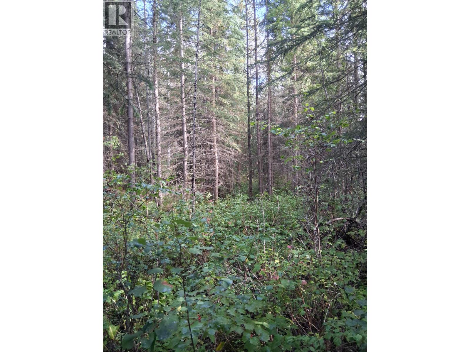 23512 HOWELLS Road, Topley, British Columbia, V0J2N0, Topley, British Columbia — photo 3 of 5