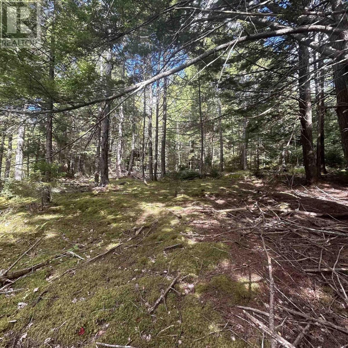 Property 4 of 8 of Lot 25-2 Conquerall Mills Road
