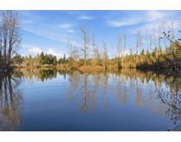 2242 200 Street, Langley, BC V2Z1W9 Photo 34