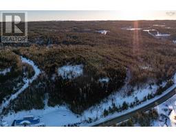 Peas Brook, 16 Highway, Peas Brook, NS B0H1N0 Photo 20