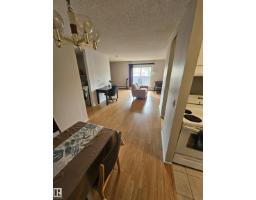#206 10838 108 Street Nw, Edmonton, AB T5H3A6 Photo 20