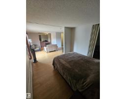 #206 10838 108 Street Nw, Edmonton, AB T5H3A6 Photo 12