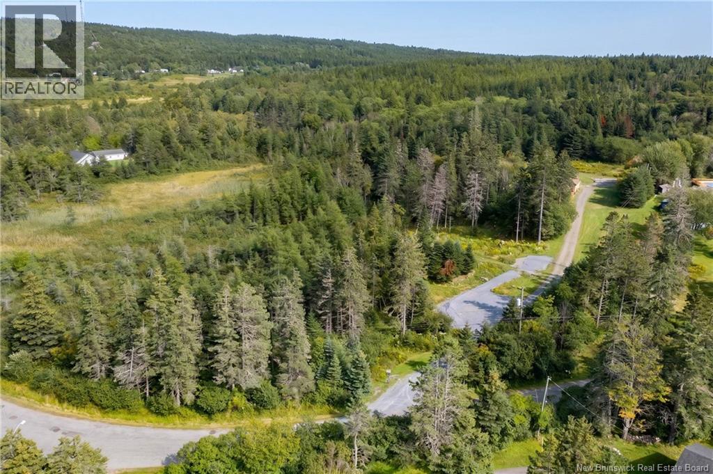 224 Anthonys Cove Road - Image 40