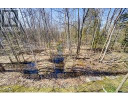 202 - 16 Westbury Road, Wasaga Beach, ON L9Z0B8 Photo 19