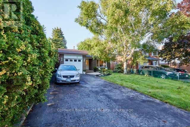 41 PANTER CRESCENT - 2