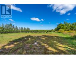 3811 King Street, Lincoln, ON L0R1B1 Photo 15