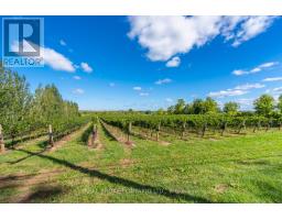 3811 King Street, Lincoln, ON L0R1B1 Photo 17