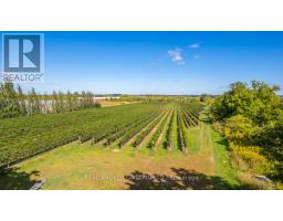3811 King Street, Lincoln, ON L0R1B1 Photo 19