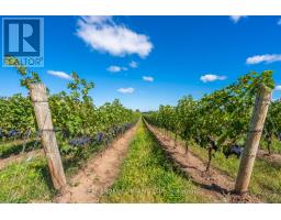 3811 King Street, Lincoln, ON L0R1B1 Photo 20