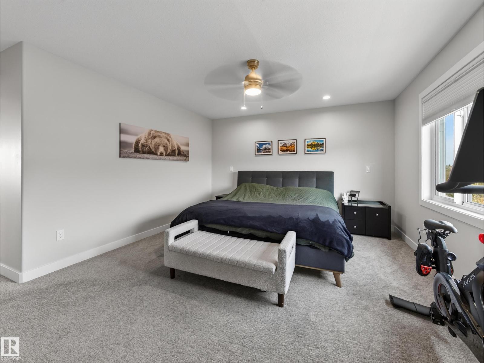 29 COPPICE HILL WY - 39