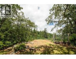 335 Damon Dr, View Royal, BC V9B5G5 Photo 50