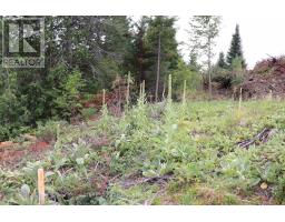 ### Sweets Lane, Greater Madawaska, ON K0J2R0 Photo 19