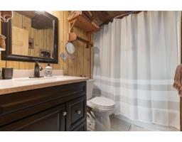 20805 Mt Downing Road, Mission, BC V0M1A1 Photo 28
