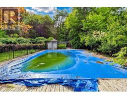 40 Donino Avenue, Toronto, ON M4N2W7 Photo 44