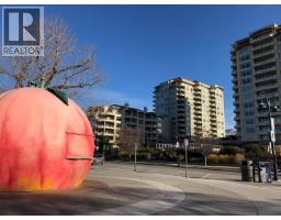 922 Dynes Avenue Unit# 208, Penticton, BC V2A1E8 Photo 48