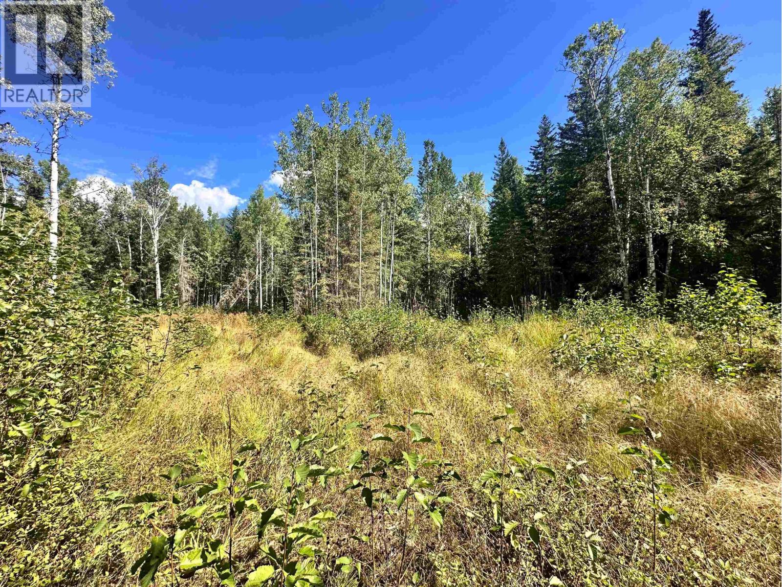 #LOT 5 AIRPORT Road, McBride, British Columbia, V0J2E0, McBride, British Columbia — photo 4 of 5