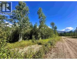 Lot 5 Airport Road, Mcbride, BC V0J2E0 Photo 6