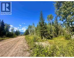 Lot 5 Airport Road, Mcbride, BC V0J2E0 Photo 7
