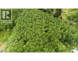 400 Dyer Rd, Sayward, BC V0P1R0 Photo 38